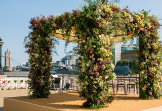 wedding on terrace