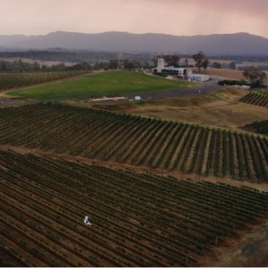 Chateau Elan Wedding Venue, Grounds