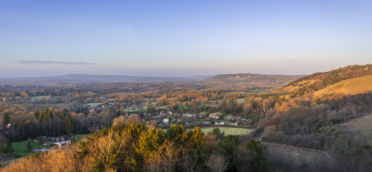 Surrey image