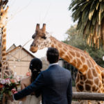 Melbourne Zoo Weddings