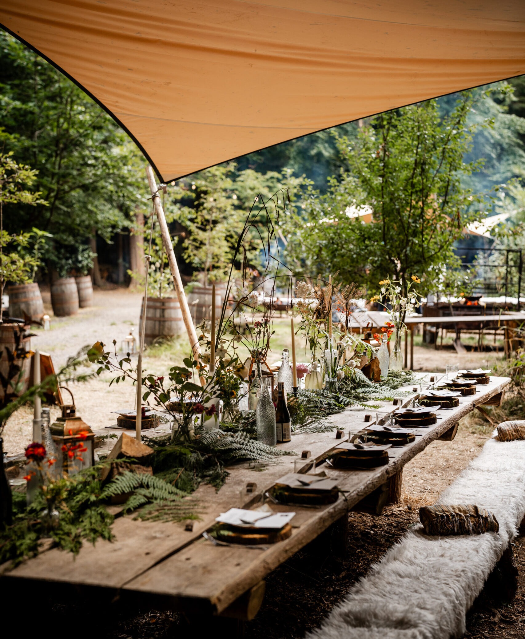Nomadic Dinners