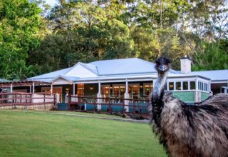 The_Homestead_with_Emu_Desktop