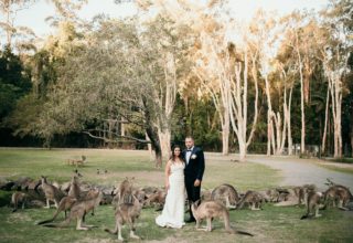 Currumbin Wildlife Sanctuary Wedding Ek Photography Couple Photoshoot