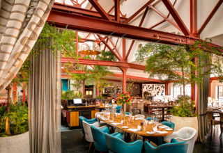 bluebird chelsea_Bluebird Ex Hire – PWF – 0046