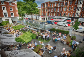 bluebird chelsea_Bluebird Terrace 8