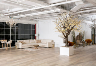 bluebird chelsea_Bluebird_White_Room_098_4418