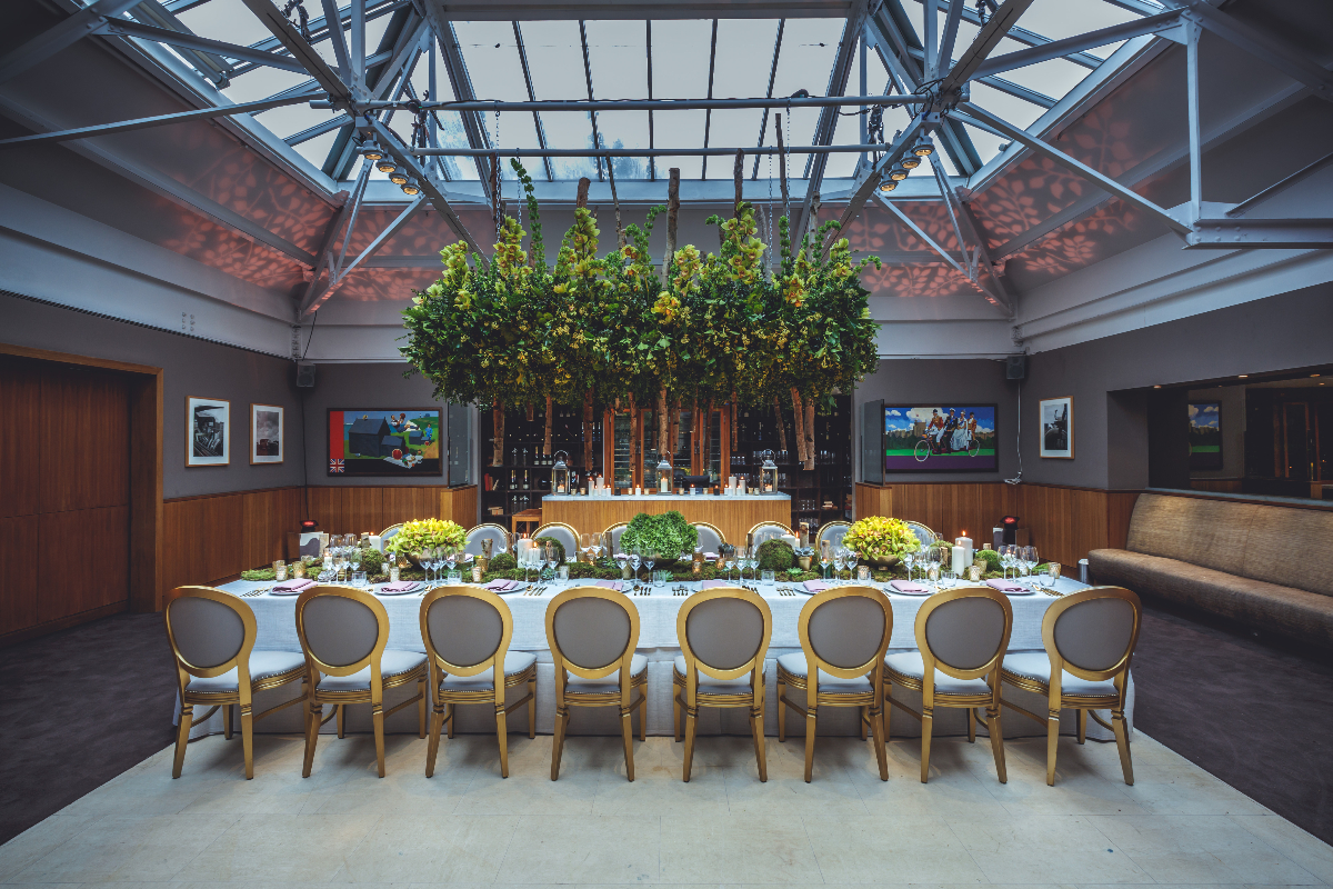 Bluebird Chelsea