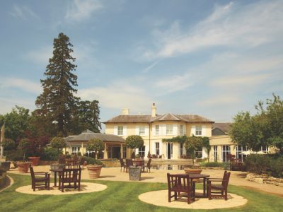 The Vineyard