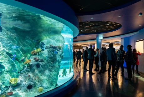 Sea Life Melbourne Aquarium