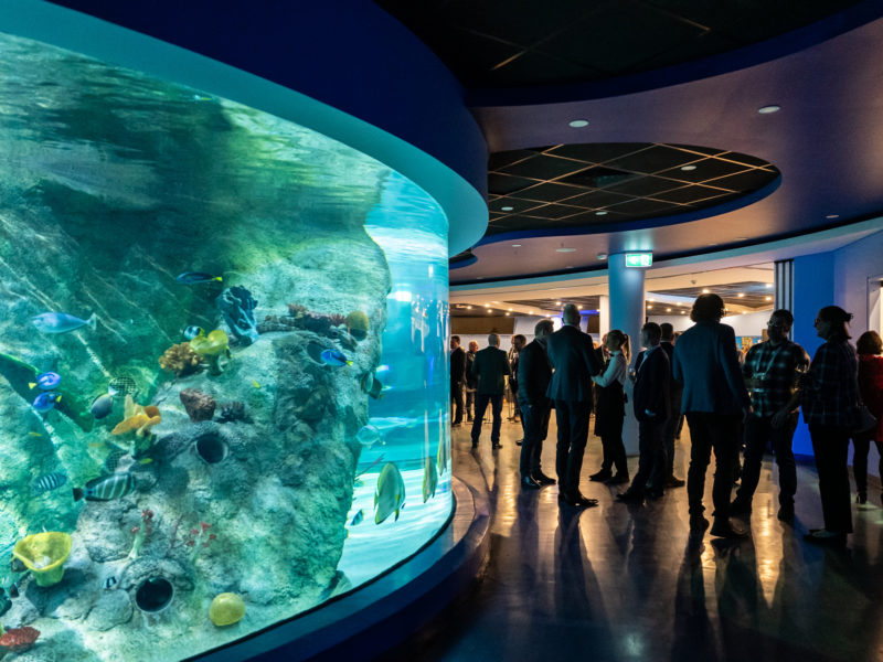 Sea Life Aquarium - Melbourne - Corporate Event