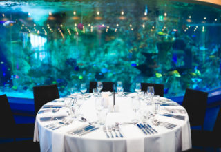 Sea Life Aquarium – Melbourne – Corporate Event 11