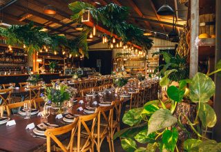 imgi_181_three-blue-ducks-6