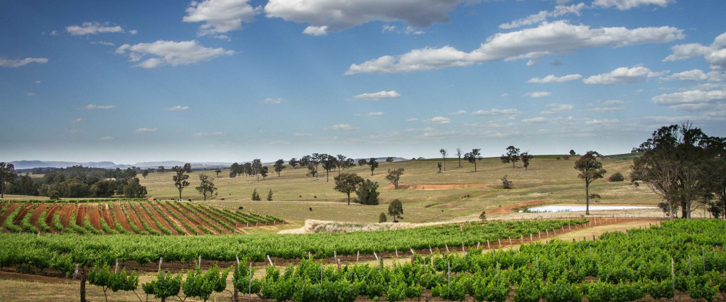Hunter Valley image