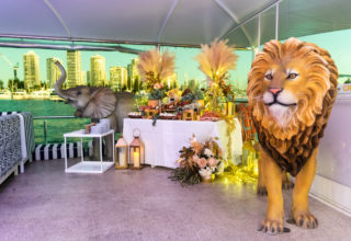 YOT Club – Brisbane and Gold Coast 8