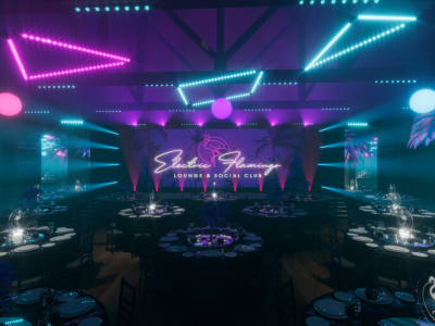 The Electric Flamingo (Christmas parties)