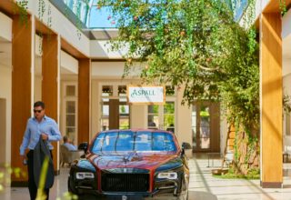 Palm Court – Car – the hurlingham