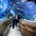 Guests At Sea Life Aquarium