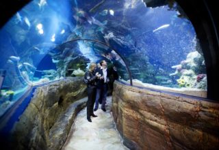 Guests At Sea Life Aquarium