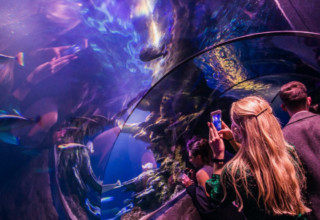 Sea Life Aquarium Event Photography View