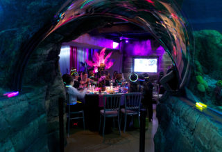 Sea Life Aquarium Event Photography Tunnel Dining