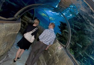 Sea Life Aquarium Event Photography Tunnel Guests Walking
