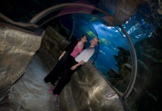 Sea Life Aquarium Event Photography Tunnel Guests Picture