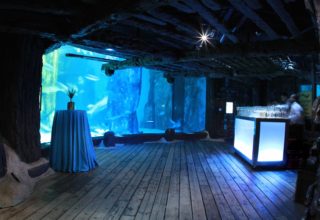 Sea Life Aquarium Event Photography Pacific Wreck Picture