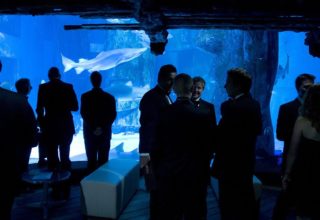 Sea Life Aquarium Event Photography Pacific wreck