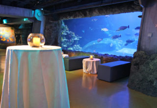 Sea Life Aquarium Event Photography Inside