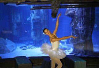 Sea Life Aquarium Event Photography Ballerina Photo