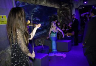 Sea Life Aquarium Event Photography Performers