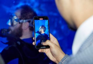 Sea Life Aquarium Event Photography Diver