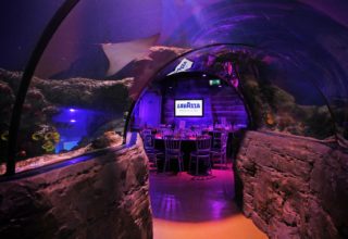 Sea Life Aquarium Event Photography Ocean View