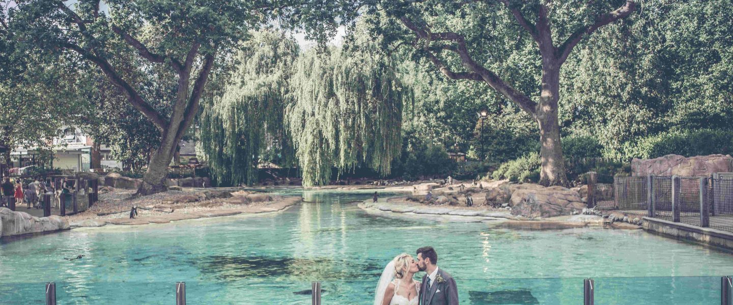 Penguin Beach Couple Kissing at London Zoo