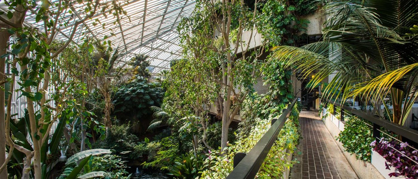 Conservatory At Barbican