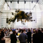 Inside Guests Picture at The Pelligon