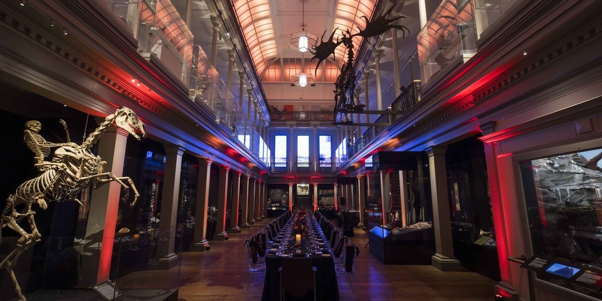 The Australian Museum