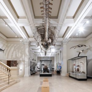 The Australian Museum