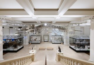 The Australian Museum