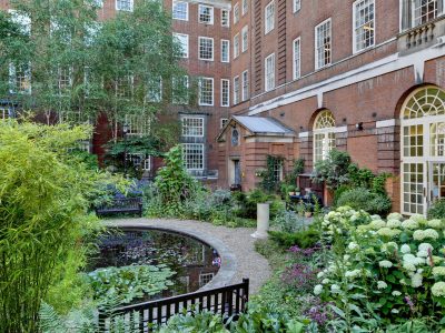 The Garden