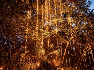 Flames of the Forest