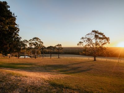 Mount Macedon Winery