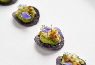 250219_WildByTart7040_001_LoRes