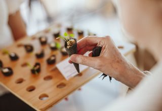 RyanDinham_160925_NTdeck_101