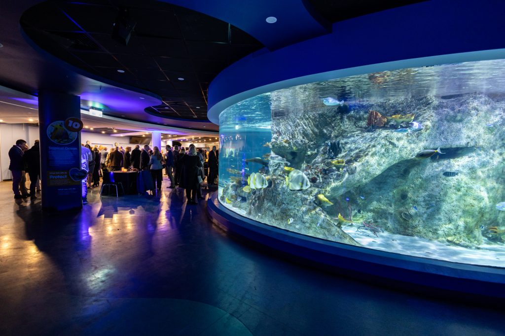 Melbourne venues with water views