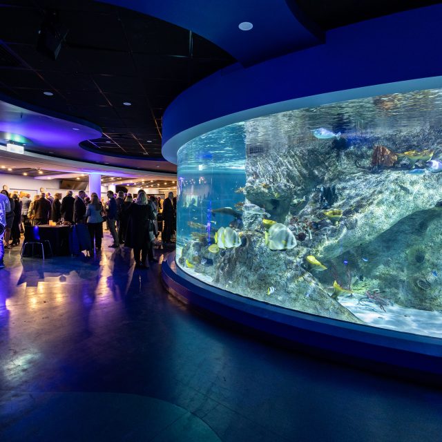 Our favourite Melbourne venues with water views