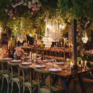 Three Blue Ducks Rosebery