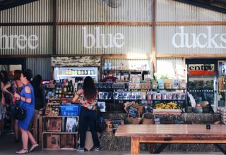 imgi_186_img_1821-scaled_1600x800_acf_cropped