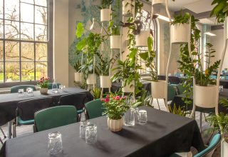 11. Sakura Cafe (Lunch)